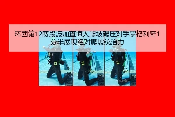 huan-xi-di-sai-duan-bo-jia-cha-jing-ren-pa-po-nian-ya-dui-shou-luo-ge-li-qi-fen-ban-zhan-xian-jue-dui-pa-po-tong-zhi-li-2-520.jpg