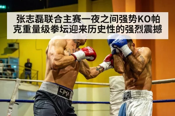 张志磊联合主赛一夜之间强势KO帕克重量级拳坛迎来历史性的强烈震撼