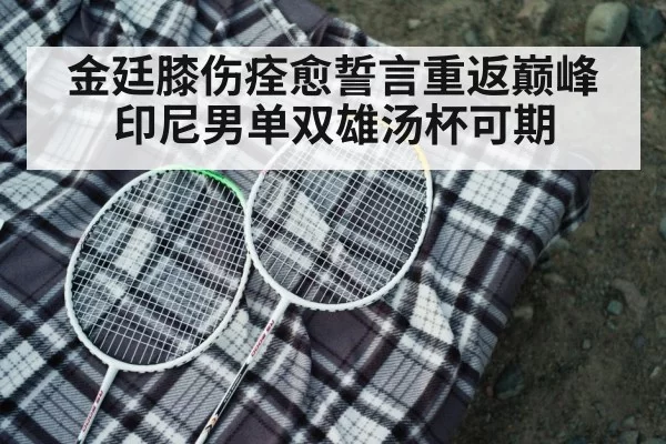 badminton racket closeup